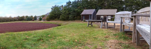 Pantano arándano en el otoño en Cape Cod en Nueva Inglaterra — Foto de Stock