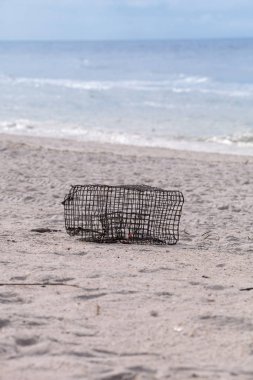 Yengeç ve ıstakoz kapanı, Kaplan 'ın beyaz kumsalında karaya vurdu.