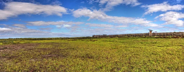 Passeio de observação de pássaros no pântano do Myakka State Park — Fotografia de Stock