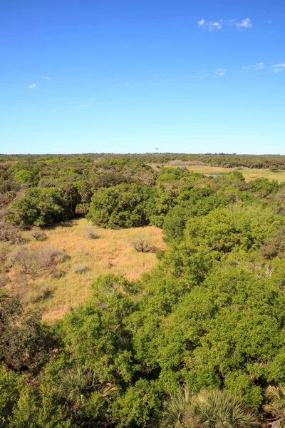 Vista aérea da floresta no Myakka State Park — Fotografia de Stock