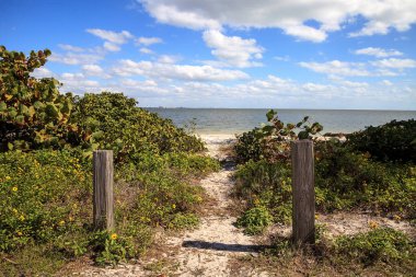 Florida, Sanibel 'deki Causeway Adaları Parkı' na sahil yolu..