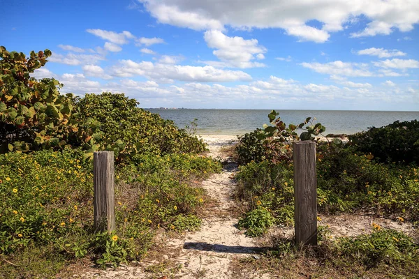 Camino Playa Causeway Islands Park Sanibel Florida — Foto de Stock