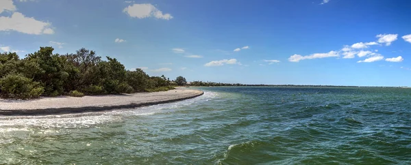 Driftwood Sabbia Bianca Lungo Lighthouse Beach Park Sanibel Florida — Foto Stock