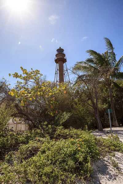 Biały Piasek Prowadzący Latarni Morskiej Parku Lighthouse Beach Sanibel Florydzie — Zdjęcie stockowe