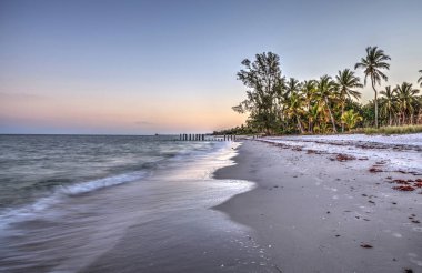 Shoreline of Port Royal Beach at sunrise in Naples, Florida clipart