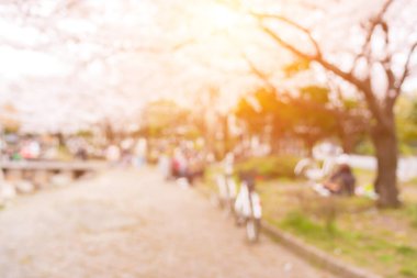 Soyut güzel bulanık arkaplan kiraz çiçekleri ya da Japonya 'da Sakura.