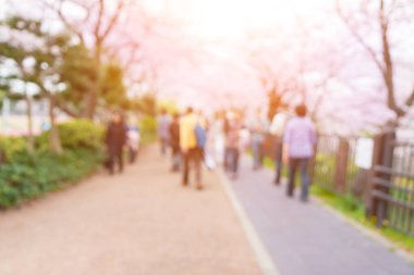 Soyut güzel bulanık arkaplan kiraz çiçekleri ya da Japonya 'da Sakura.