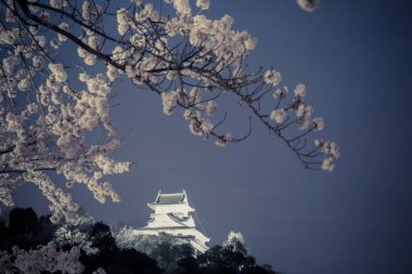Güzel kiraz çiçeği ile ilkbaharda Inuyama kale tarihi bina dönüm noktası.