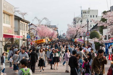 Inuyama, Japonya - 2 Nisan 2016: İlkbaharda güzel kiraz çiçekleriyle Inuyama Şatosu tarihi yapı. Turist kiraz çiçeklerini izlemekten hoşlanır.