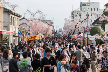Inuyama, Japonya - 2 Nisan 2016: İlkbaharda güzel kiraz çiçekleriyle Inuyama Şatosu tarihi yapı. Turist kiraz çiçeklerini izlemekten hoşlanır.