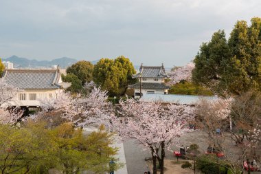 Inuyama, Japonya - 2 Nisan 2016: İlkbaharda güzel kiraz çiçekleriyle Inuyama Şatosu tarihi yapı. Turist kiraz çiçeklerini izlemekten hoşlanır.
