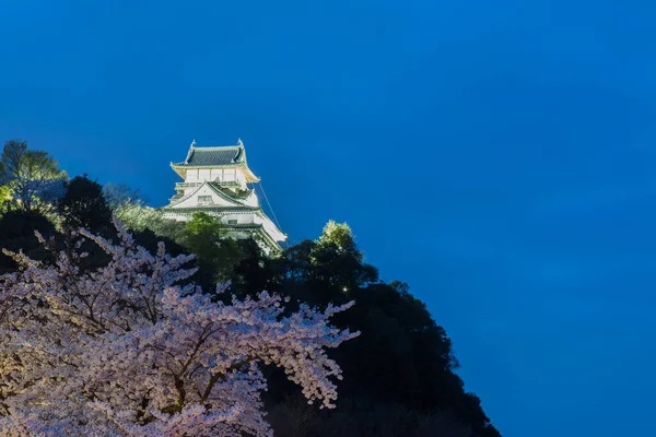 Inuyama Castle Historic Building Landmark Het Voorjaar Met Mooie Kersenbloesem — Stockfoto