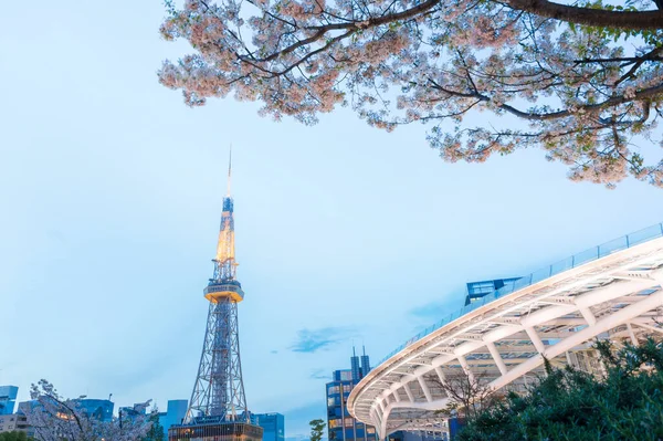 Nagoya Toren Nacht Met Prachtige Kersenbloesem Bouw Huishouden Nagoya Japan — Stockfoto
