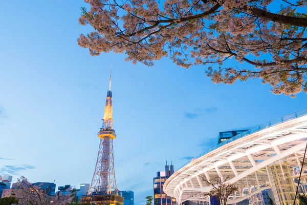 Nagoya Fernsehturm Der Nacht Mit Schöner Kirschblüte Sakura Nagoya Japan — Stockfoto