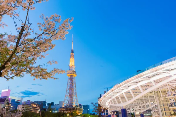 Вежа Нагойя Ночью Прекрасным Цветом Вишневого Цвета Сакура Наґоя Японія — стокове фото