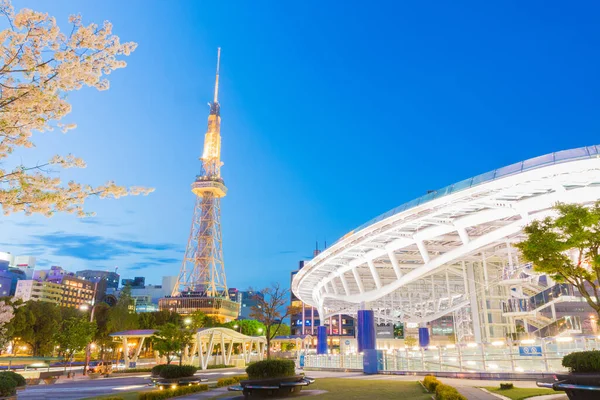 Tour Télévision Nagoya Dans Nuit Avec Belle Fleur Cerisier Sakura — Photo