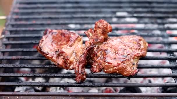 Cucinare Carne Barbecue Festival All Aperto Nel Parco Concetto Festa — Video Stock