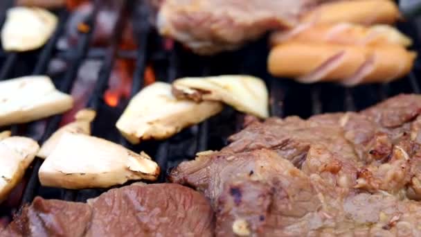 公園の屋外フェスティバルでバーベキュー肉を調理します 家族や友人との夏のパーティーの概念 — ストック動画