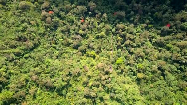 泰国的自然景观 泰国Phu Thap Boek Phetchabun省无人侦察机飞越高山的空中景观 — 图库视频影像