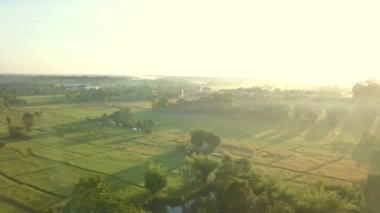 Tayland 'da kırsal köyü olan kırsal arazi ve pirinç tarlası manzarası.