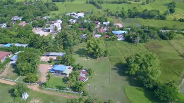 Αεροφωτογραφία Του Τοπίου Υπαίθρου Και Ορυζώνες Αγροτικό Χωριό Στην Ταϊλάνδη — Αρχείο Βίντεο