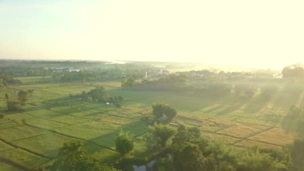 Letecký Pohled Krajinu Krajiny Rýžové Pole Venkovskou Vesnicí Thajsku — Stock video