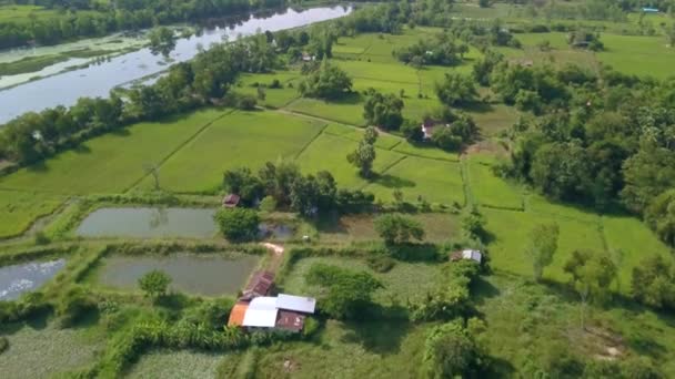 タイの農村と田園風景の田園風景や水田の空中ビュー — ストック動画