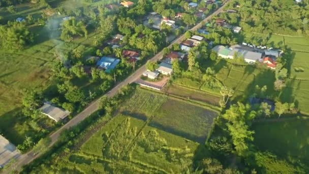 Vista Aérea Paisagem Rural Campo Arroz Com Aldeia Rural Tailândia — Vídeo de Stock