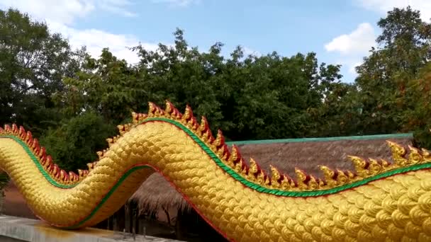 Paisaje Vista Aérea Wat Khao Chong Chad Largo Del Parque — Vídeo de stock