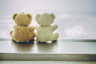 Güzel çift oturup birlikte pencere ayı