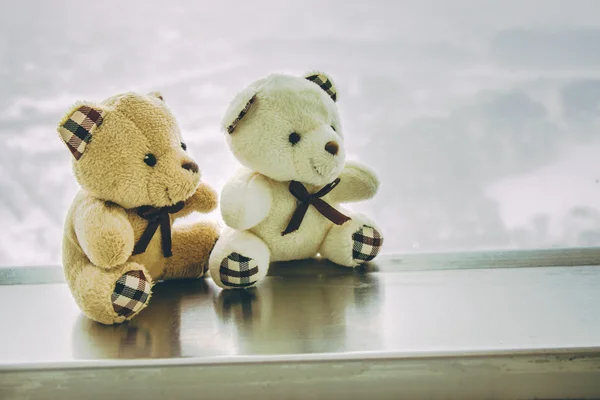Szép pár medve sit együtt közelében ablak — Stock Fotó