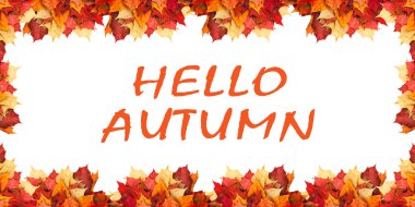 Akçaağaç sonraki birbirlerine beyaz bir arka plan üzerinde bulunduğu bırakır