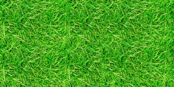 Tło trawy zielonej — Zdjęcie stockowe