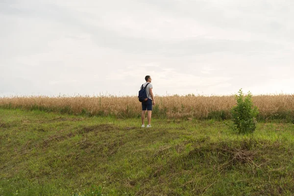 Güneşe doğru seyir çimenlerin üzerinde duran bir adam