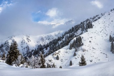 Tien Shan, Kazakhstan