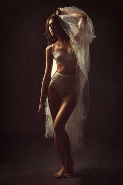 seksi kız Studio tür fotoğraf