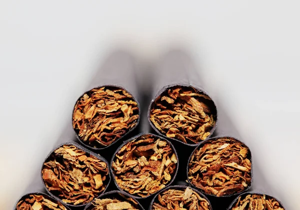 Dia Mundial Sem Tabaco e tabaco sobre fundo branco — Fotografia de Stock