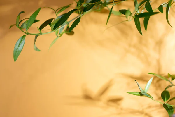 Patroon van bladeren op een geel gouden achtergrond — Stockfoto