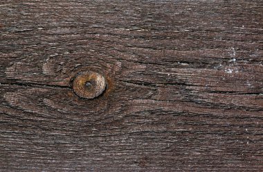 Sert ahşap zemin üzerine ahşap yongaları