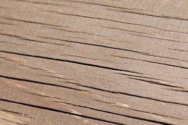 Sert ahşap zemin üzerine ahşap yongaları