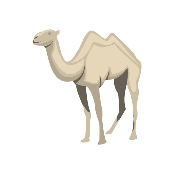 Ilustración Vectorial Camello Diseño Plano — Vector de stock