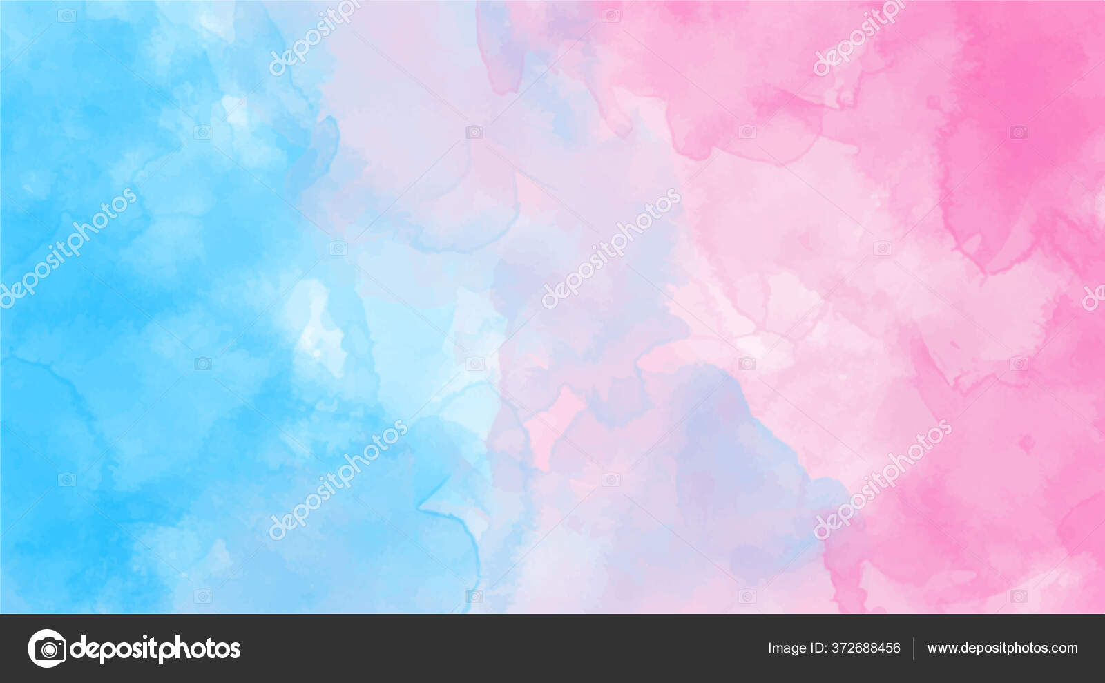 写真タグ:クラゲの壁紙 | Hippopx, image size:1600x989