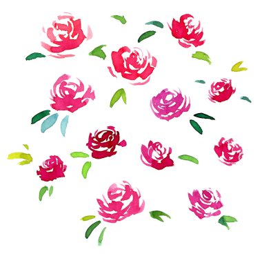 suluboya çiçek kümesi. doğa tasarım öğeleri.