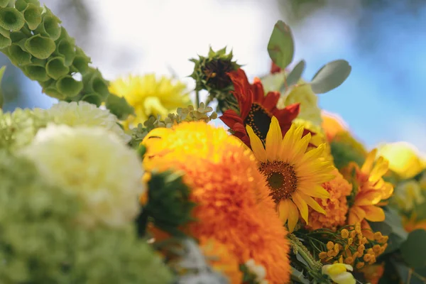 Buquê Flores Coloridas Sol Flor Decoração — Fotografia de Stock