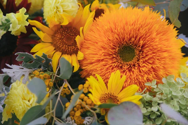 Buquê Flores Coloridas Sol Flor Decoração — Fotografia de Stock