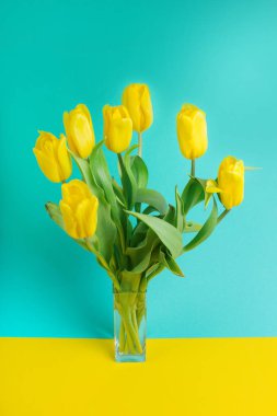 Renk arka planda Lale buketi