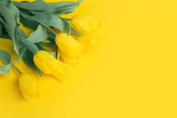 Bouquet of tulips in color background