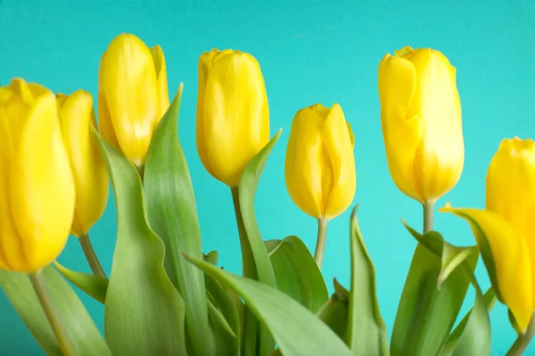 Bouquet of tulips in color background