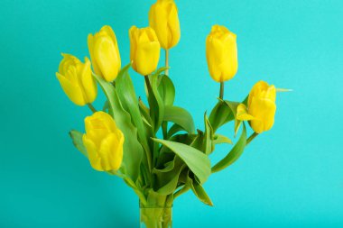 Renk arka planda Lale buketi