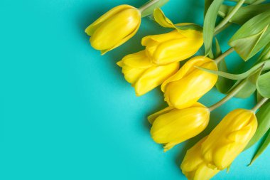 Renk arka planda Lale buketi